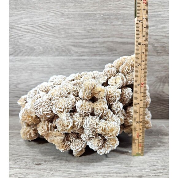 Desert Rose Selenite Natural Raw Gemstone Mineral Crystal Sand Rose Stone 6.5lbs - Picture 15 of 15